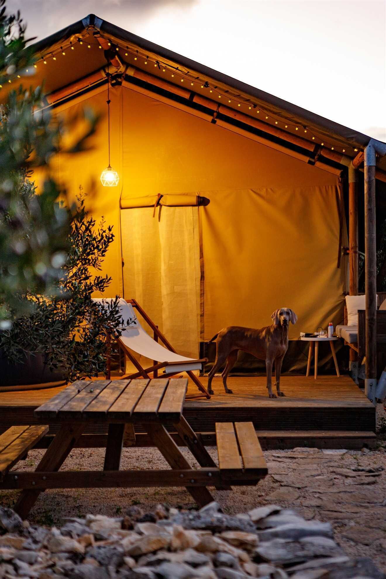 Un espace extérieur aménagé avec une tente, une terrasse en bois, un fauteuil et un chien.