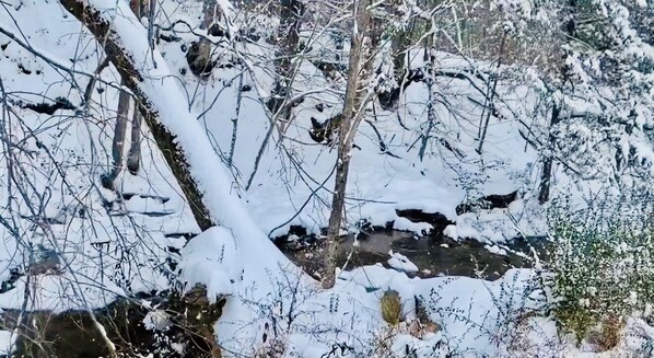 Ett snötäckt landskap med en bäck, träd och buskar.
