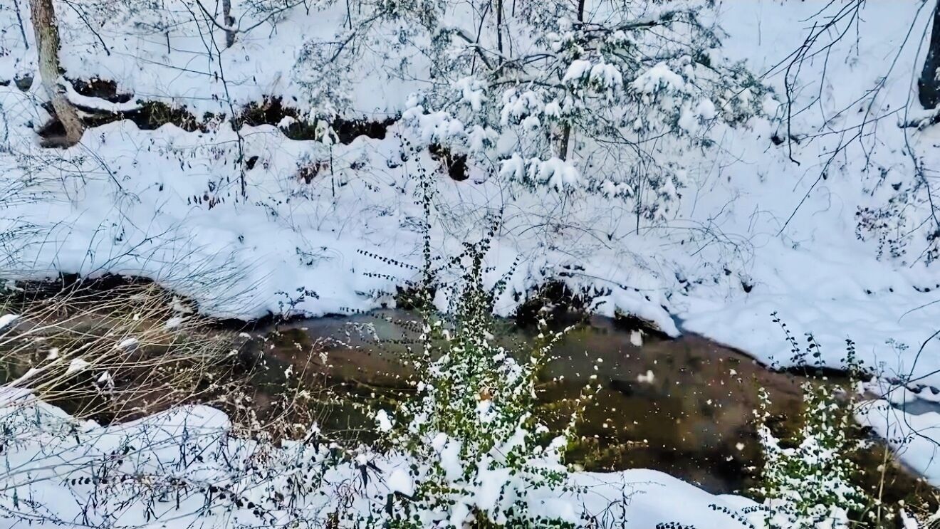 Un paysage enneigé avec un ruisseau et des arbres.