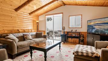 Smart TV, fireplace, DVD player, books