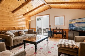 Smart TV, fireplace, DVD player, books