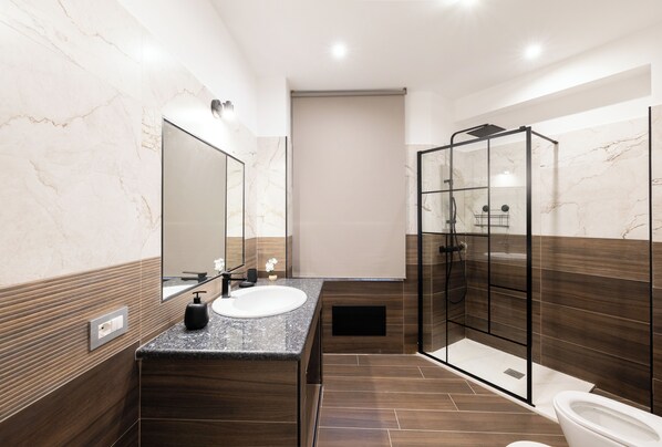 Shower, hair dryer, bidet, towels