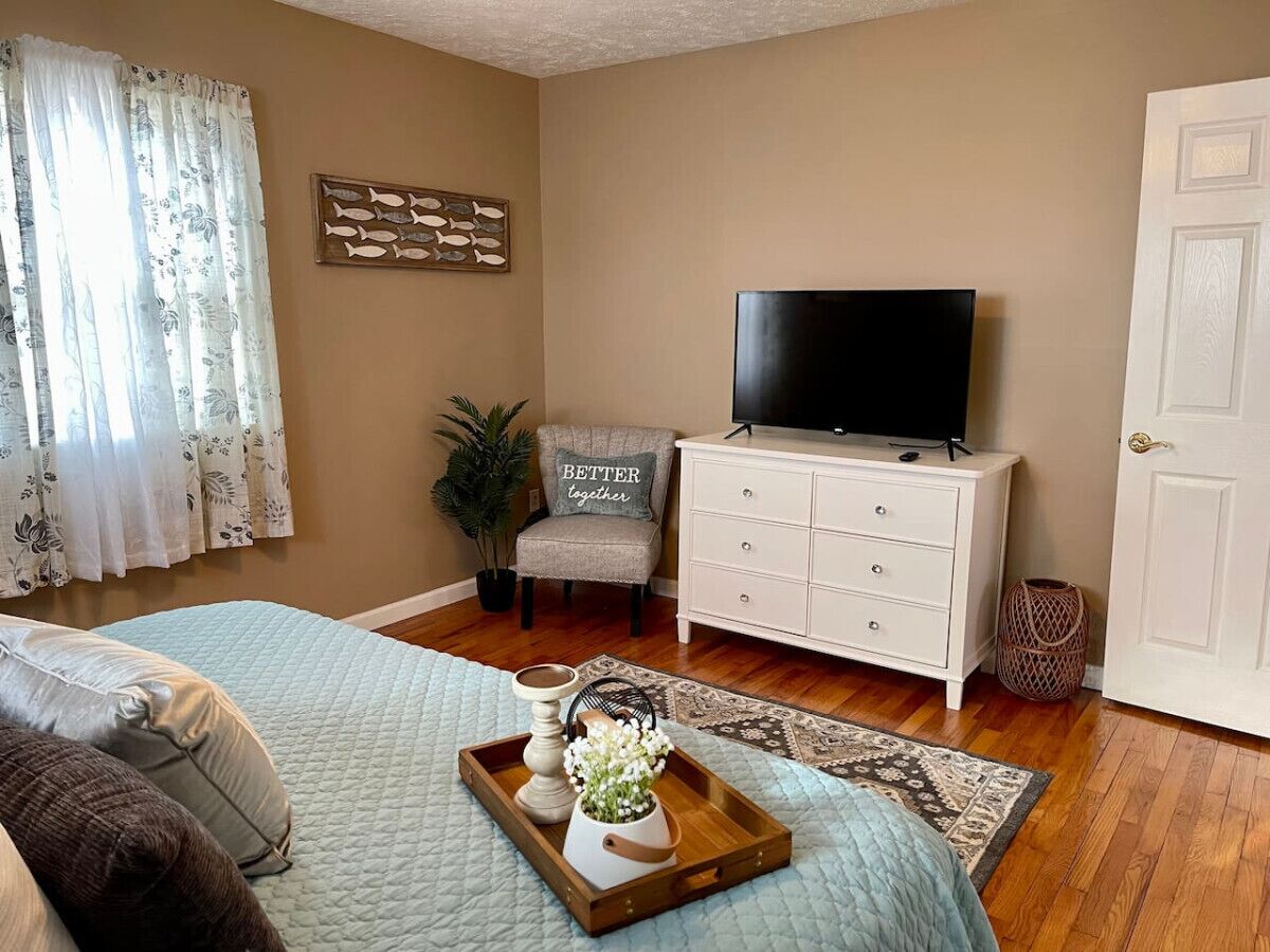 A bedroom with a bed, a TV, a dresser, and a potted plant.