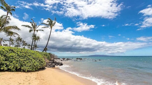 A beach with clear skies, palm trees, and calm waters.