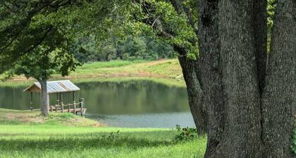 Cozy RV - Awesome View - Fishing & Pet Friendly!