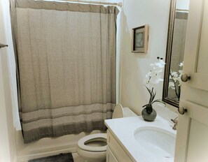 Hair dryer, towels, soap, shampoo