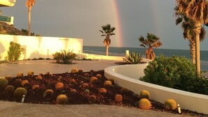 A hotel with a palm tree garden, a cactus display, and a view of the ocean.