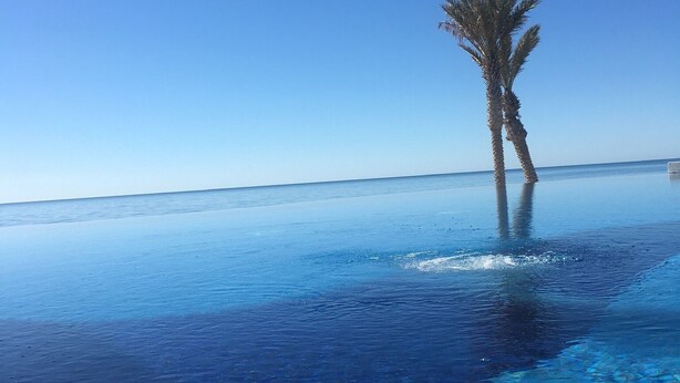 A clear blue sky, a palm tree, and a pool with clear water.