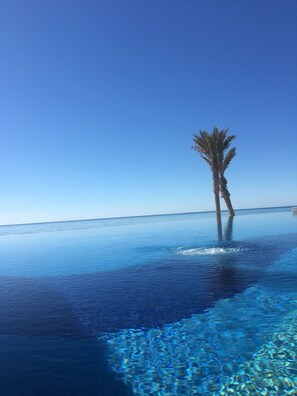A clear blue sky, a palm tree, and a pool with clear water.