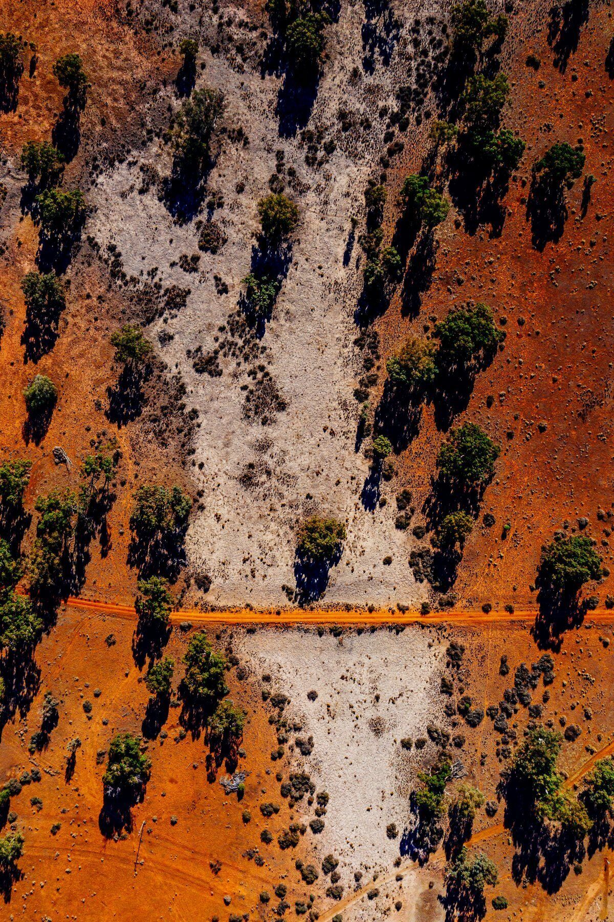An aerial view of a rugged terrain with sparse vegetation and a winding road.