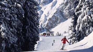 Sneeuw- en skisporten