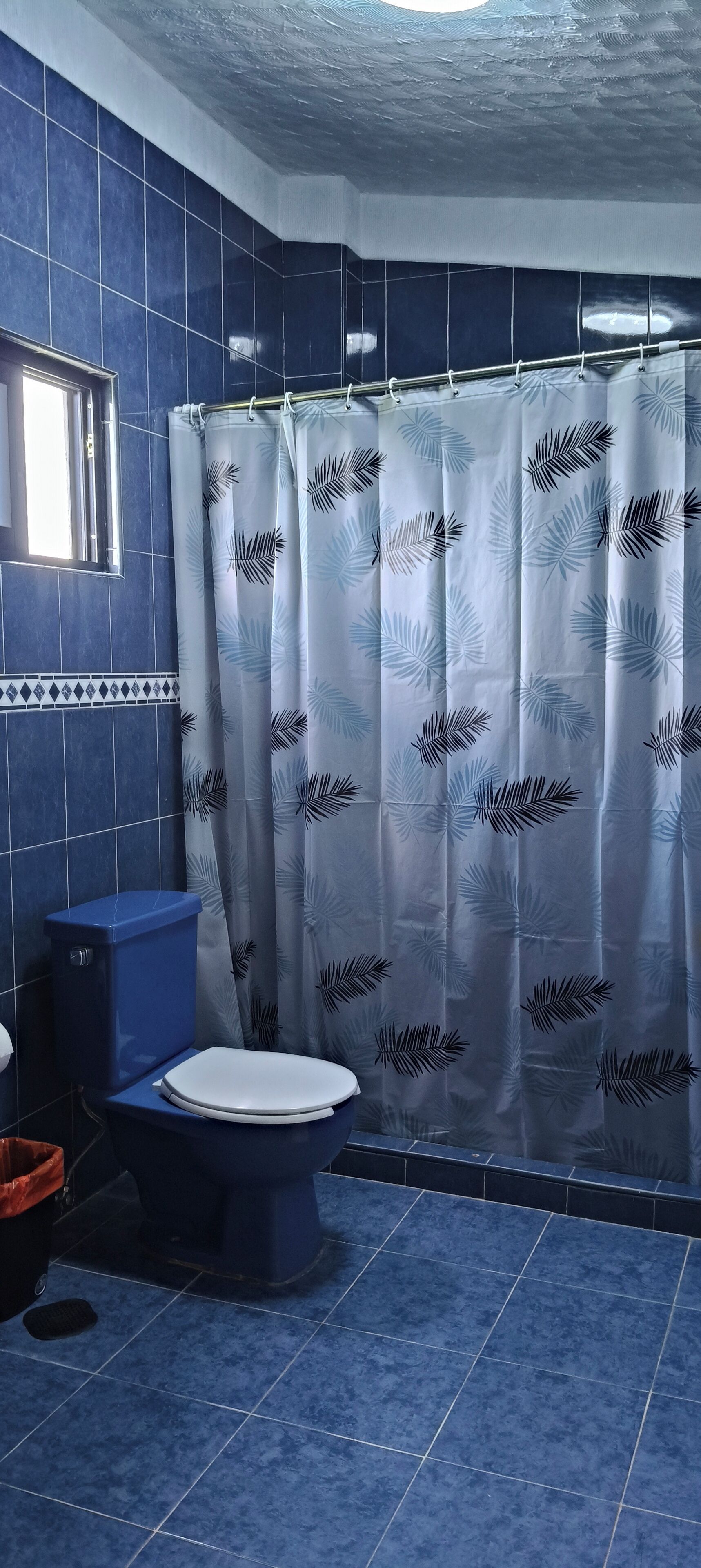 Ein Badezimmer mit blauen Fliesen, einer Toilette und einem Duschvorhang mit Blätlermuster.