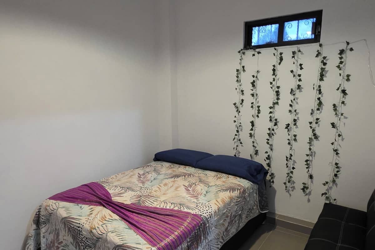 A bedroom with a bed, a TV mounted on the wall, and a hanging plant.
