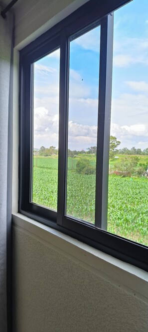 Basic Διαμέρισμα, Αίθριο | Πουπουλένια παπλώματα, χώρος εργασίας για λάπτοπ, κουρτίνες συσκότισης 