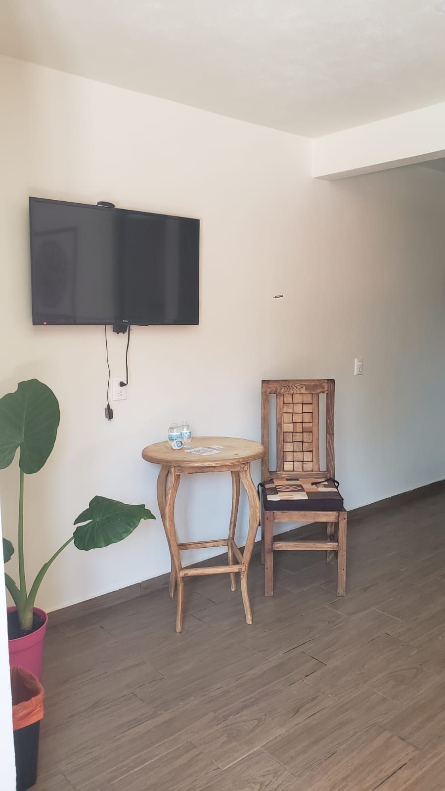 A room with a flat-screen TV mounted on the wall, a wooden chair, a small round table with a bottle and a cup, and a large potted plant.
