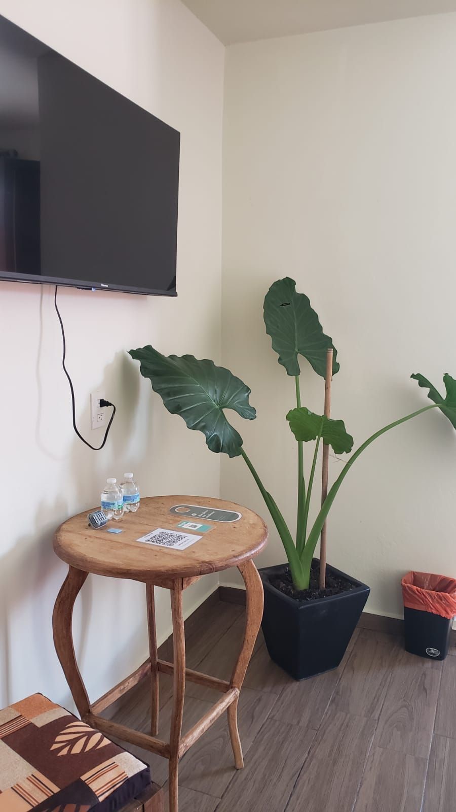 A room with a flat-screen TV mounted on the wall, a round wooden table with a coaster and a QR code, a potted plant with large leaves, and a trash bin.