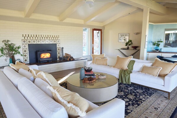 Smart TV, fireplace, books