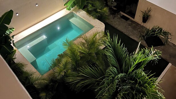 A modern outdoor pool area with a rectangular pool, surrounded by lush tropical plants and a minimalist architectural design. - Aria (El Cuyo)