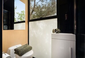 Shower, hair dryer, towels