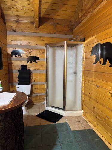 Charming 3-bedroom 5 bed hottub cabin WiFi in scenic Seneca Rocks West Virginia