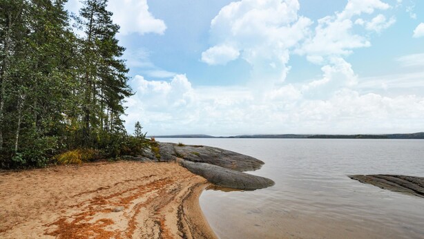 Une plage de sable avec de gros rochers et une végétation dense.