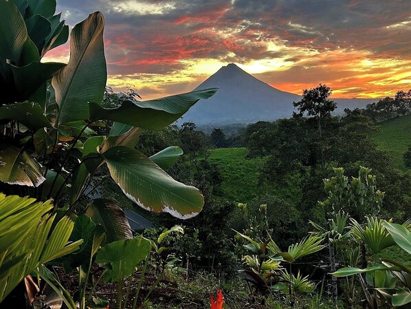 Un paysage de montagne avec une végétation luxuriante et un coucher de soleil.