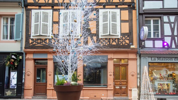 Unclassified image, 1 of 23, button - Newly renovated 3-bedroom apartment in Colmar historical center  (Colmar)
