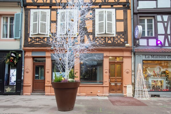Exterior detail - Newly renovated 3-bedroom apartment in Colmar historical center (Colmar)