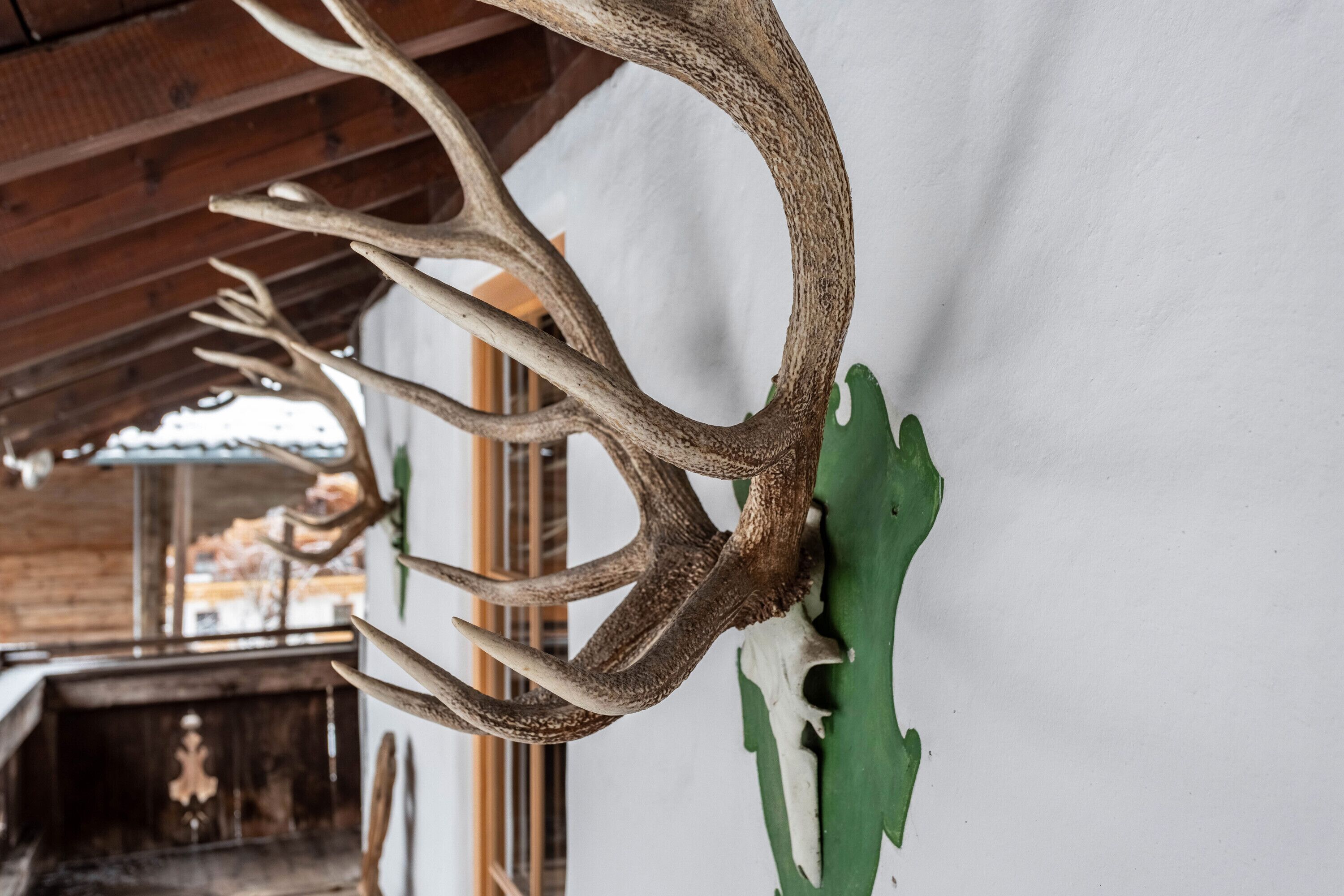 Detalle del exterior