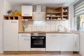 Fridge, oven, stovetop, dishwasher