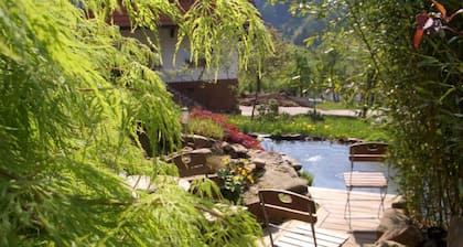 Apartamento 'Wohnung Mit Terasse Im Schwarzwald' con vistas a la montaña, terraza privada y Wi-Fi