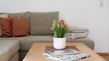 Fernseher, Stereoanlage