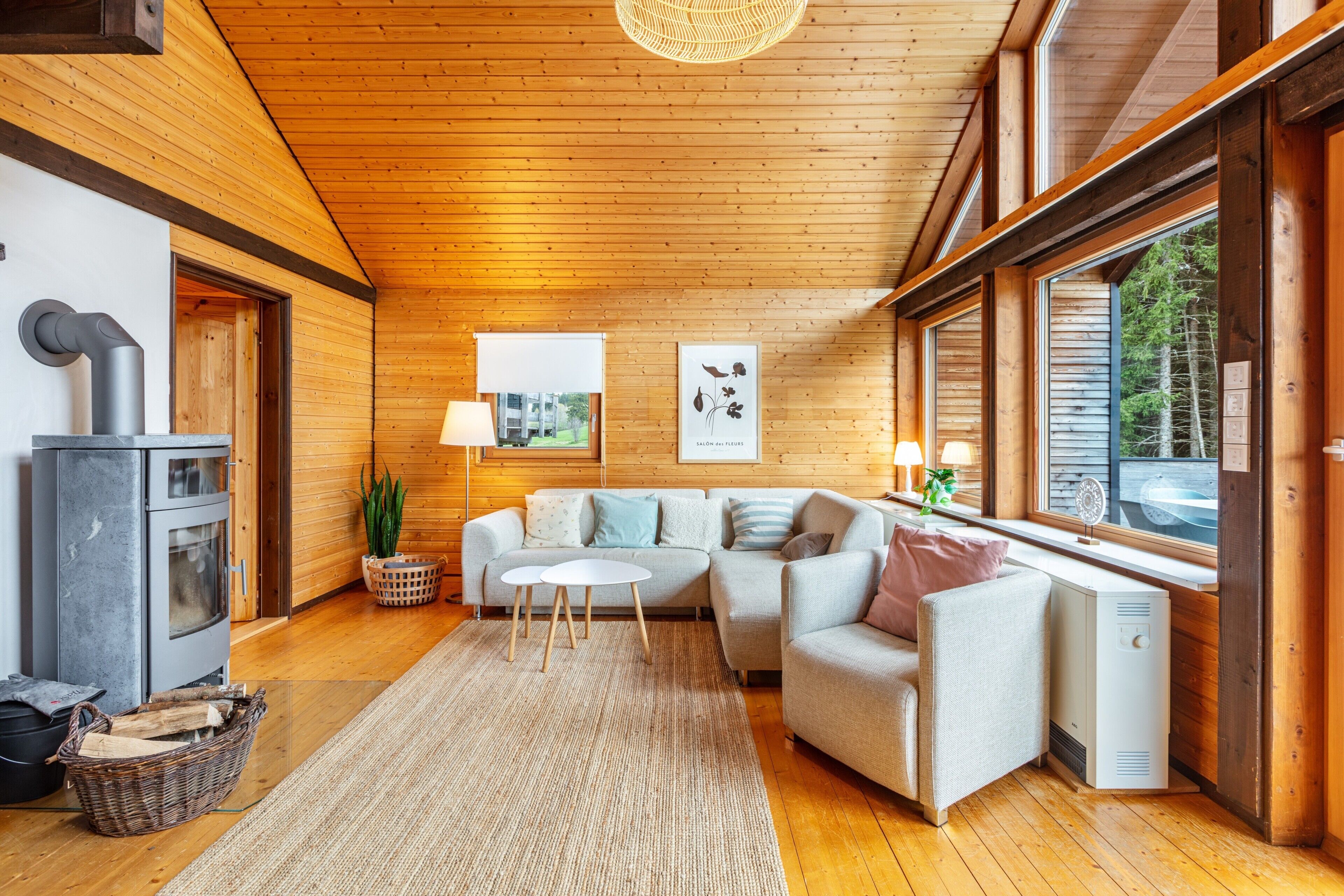 Télévision, cheminée