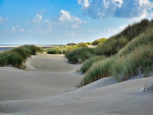 Pet-friendly Zeeland Getaway