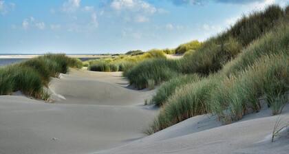Pet-friendly Zeeland Getaway