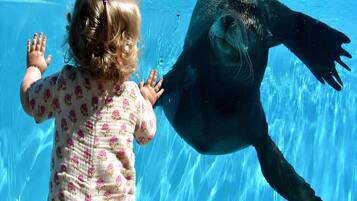 Casa | Vista desde la propiedad