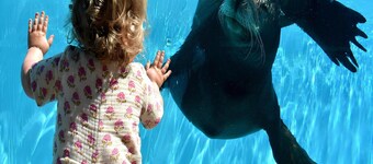 Pet-friendly Zeeland Getaway