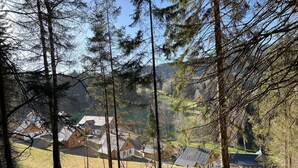 A forested area with a view of houses in the background. - Markéta by Interhome (Smržovka)