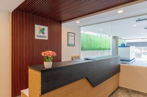 Una recepción con un logotipo, un certificado enmarcado y una planta en maceta.