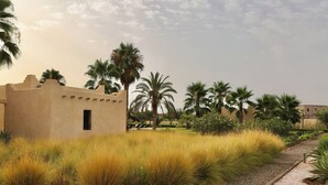 Edificio in stile desertico con una piccola finestra, circondato da erba alta e palme.
