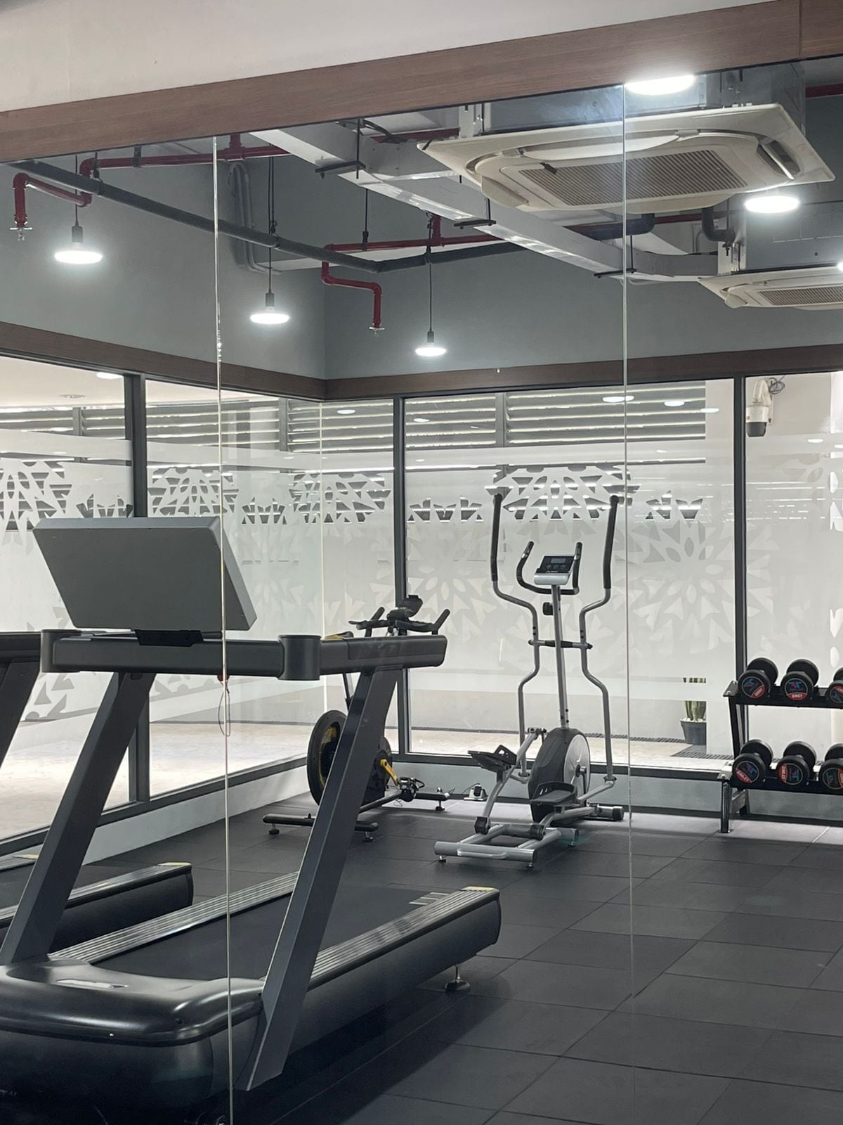 Un gimnasio moderno con cintas de correr, una banca para pesas y mancuernas.