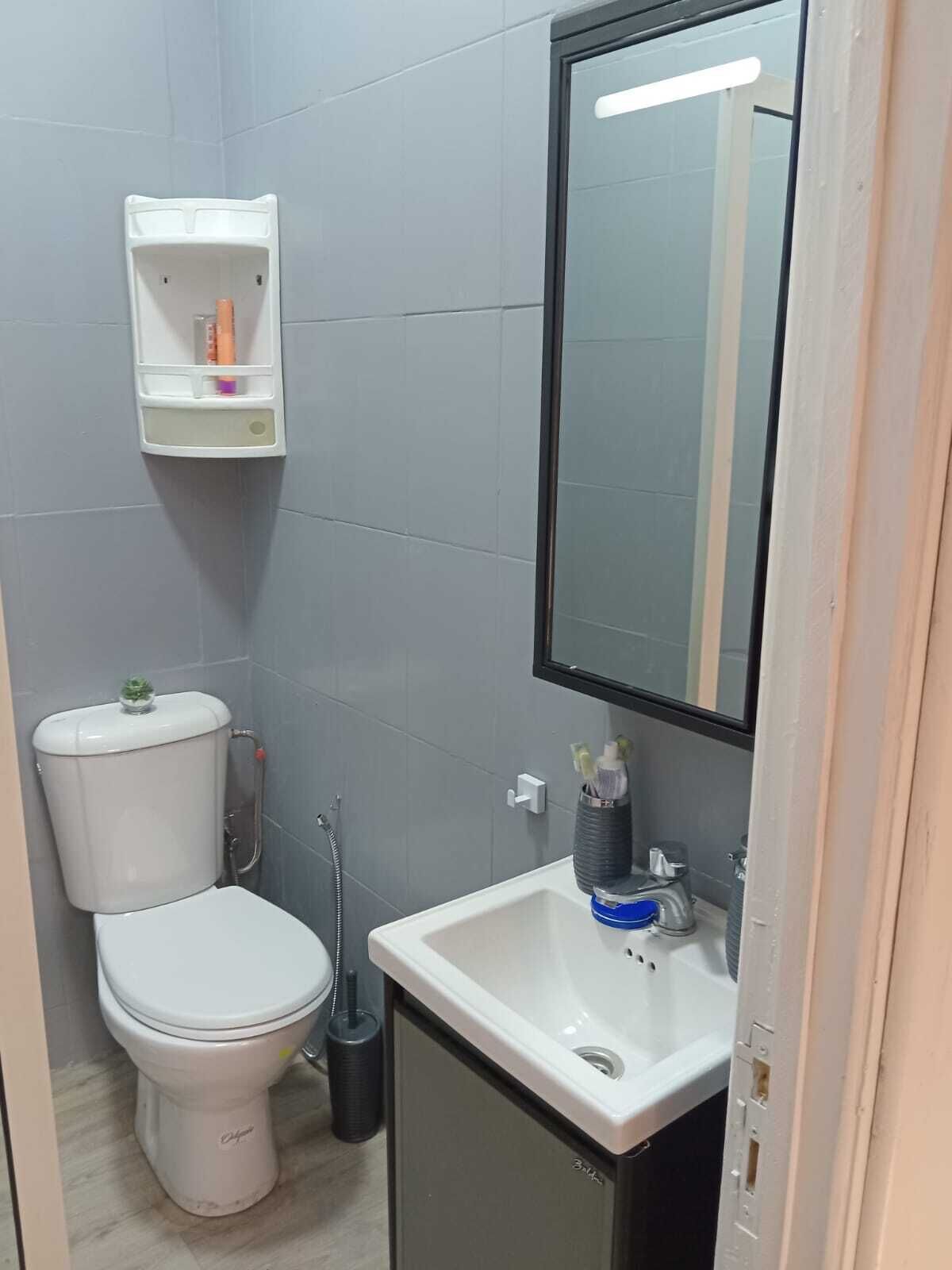 A small, modern bathroom with a toilet, sink, and mirror.