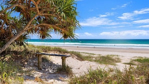 A beach with a wooden bench, palm trees, and the ocean.