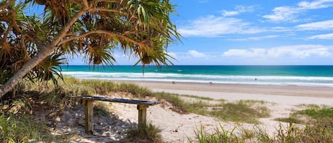 A beach with a wooden bench, palm trees, and the ocean.
