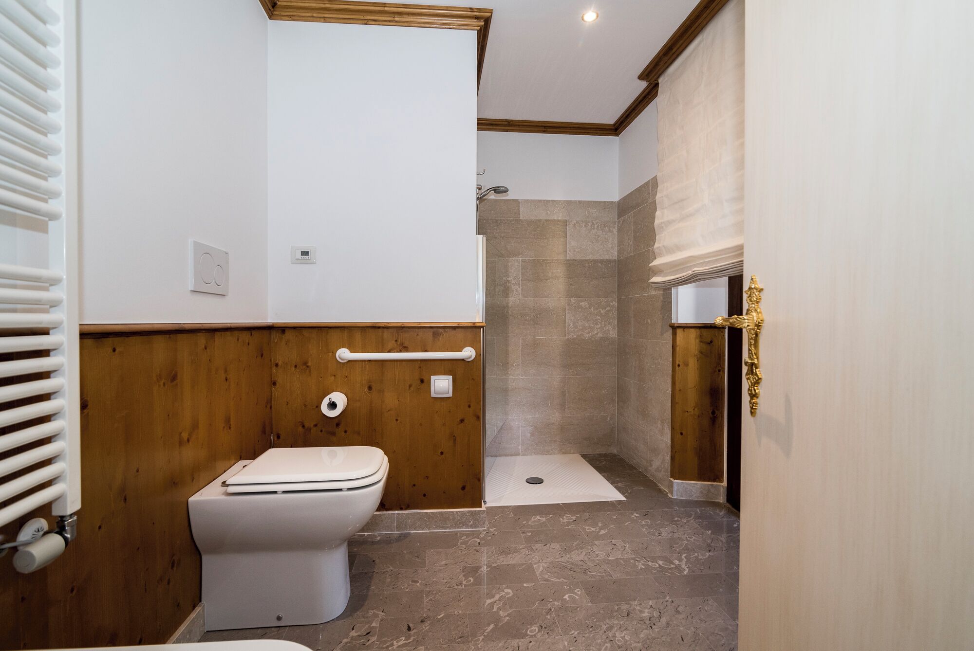Ein Badezimmer mit Toilette, Dusche und Handläufe.