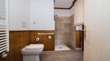 Ein Badezimmer mit Toilette, Dusche und Handläufe.