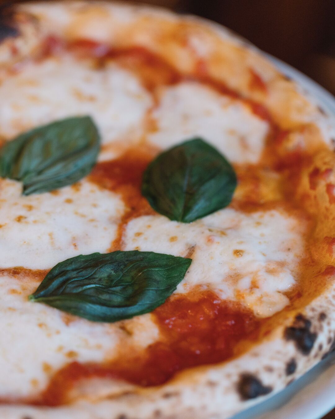 A pizza with cheese and basil leaves on a plate.