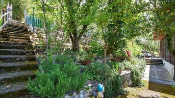 Parco della struttura