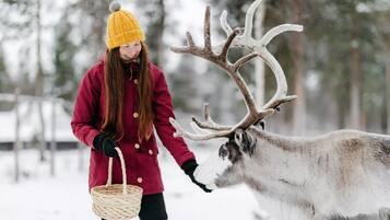 A person in a red coat and yellow hat interacting with a reindeer in a snowy forest.