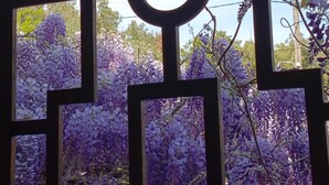 Une fenêtre dotée d’un cadre géométrique et d’un élément central circulaire, à travers laquelle on peut apercevoir des fleurs violettes et de la verdure.
